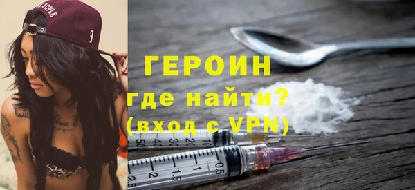 индика Каменка