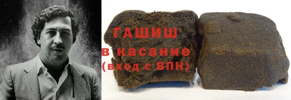 индика Каменка