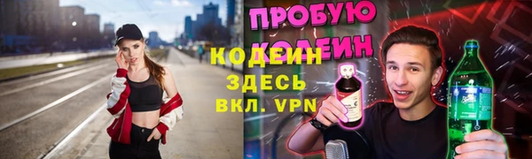 индика Каменка
