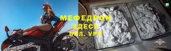 индика Каменка