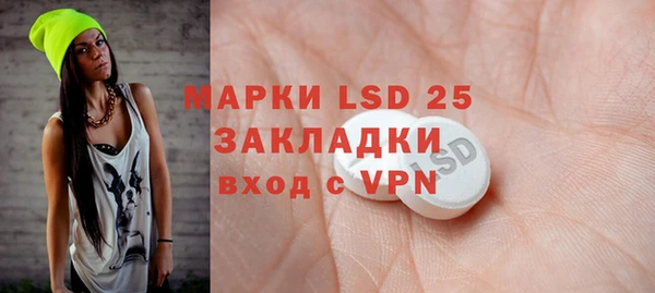 индика Каменка