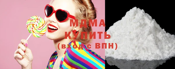 индика Каменка