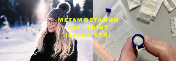 индика Каменка
