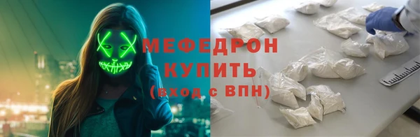 индика Каменка