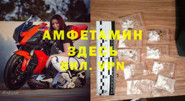 индика Каменка