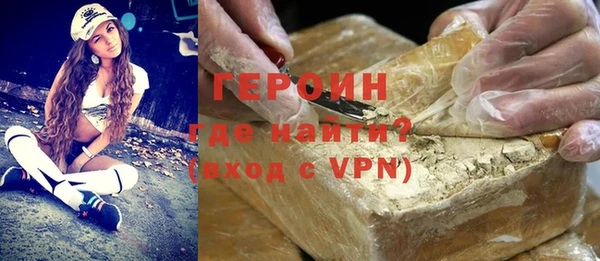 индика Каменка
