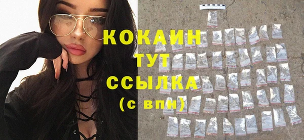 индика Каменка