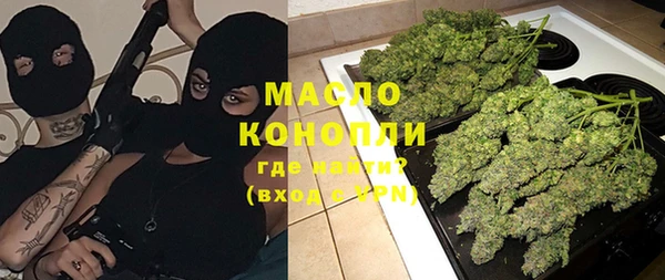 индика Каменка