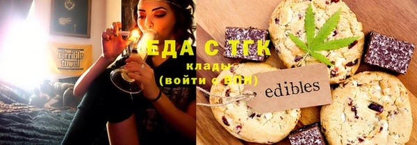 индика Каменка