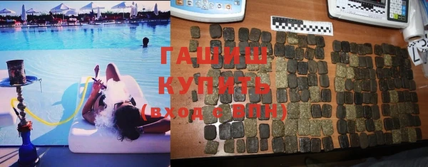 индика Каменка