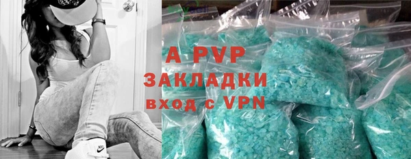 индика Каменка