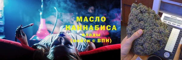 индика Каменка