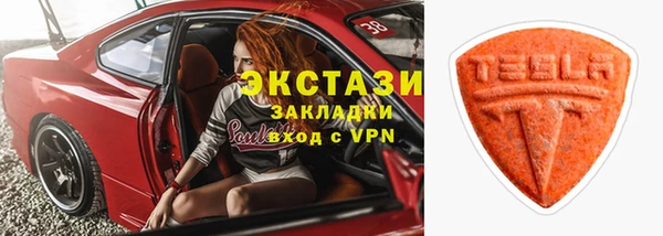 индика Каменка