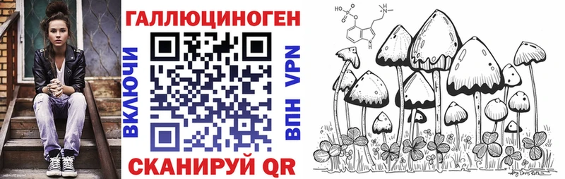продажа наркотиков  Кызыл  Псилоцибиновые грибы ЛСД 